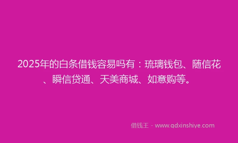 2025年的白条借钱容易吗有：琉璃钱包、随信花、瞬信贷通、天美商城、如意购等。