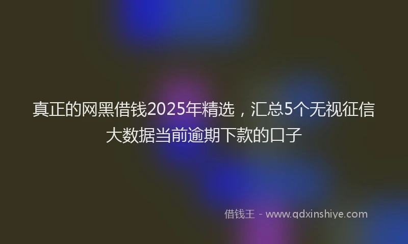 真正的网黑借钱2025年精选，汇总5个无视征信大数据当前逾期下款的口子