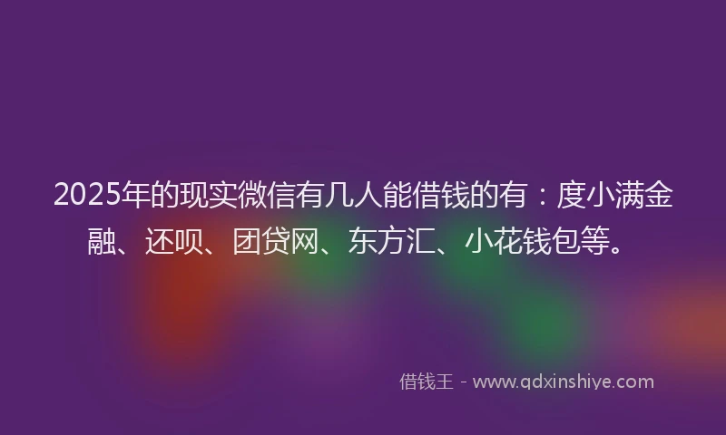 2025年的现实微信有几人能借钱的有：度小满金融、还呗、团贷网、东方汇、小花钱包等。