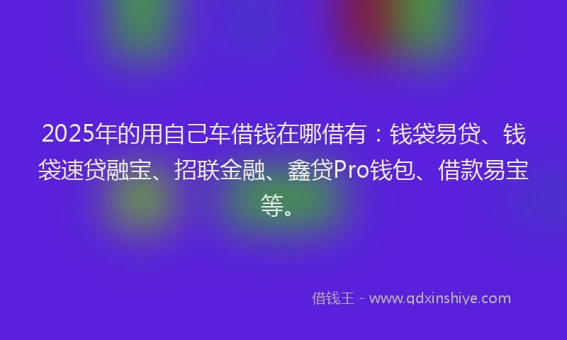 2025年的用自己车借钱在哪借有：钱袋易贷、钱袋速贷融宝、招联金融、鑫贷Pro钱包、借款易宝等。