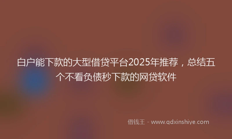 白户能下款的大型借贷平台2025年推荐，总结五个不看负债秒下款的网贷软件