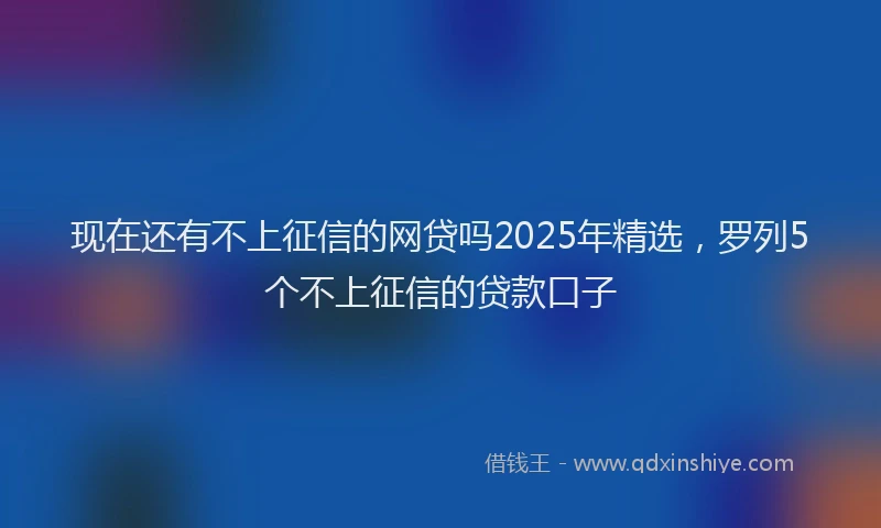 现在还有不上征信的网贷吗2025年精选，罗列5个不上征信的贷款口子