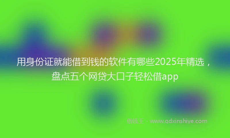 用身份证就能借到钱的软件有哪些2025年精选，盘点五个网贷大口子轻松借app