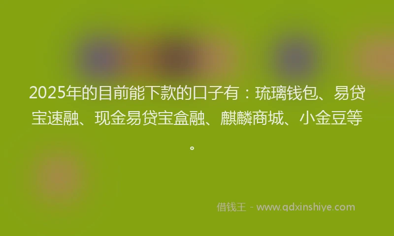 2025年的目前能下款的口子有：琉璃钱包、易贷宝速融、现金易贷宝盒融、麒麟商城、小金豆等。