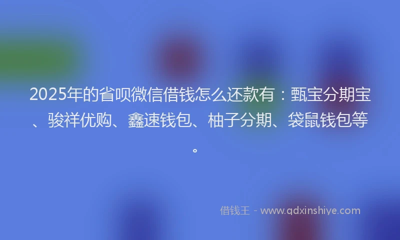 2025年的省呗微信借钱怎么还款有：甄宝分期宝、骏祥优购、鑫速钱包、柚子分期、袋鼠钱包等。