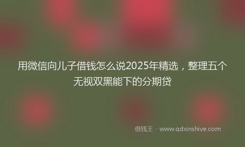 用微信向儿子借钱怎么说2025年精选，整理五个无视双黑能下的分期贷