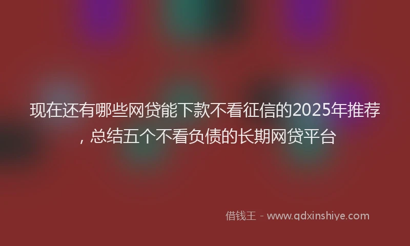 现在还有哪些网贷能下款不看征信的2025年推荐，总结五个不看负债的长期网贷平台