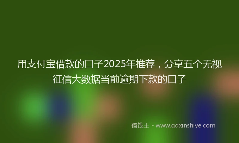用支付宝借款的口子2025年推荐，分享五个无视征信大数据当前逾期下款的口子