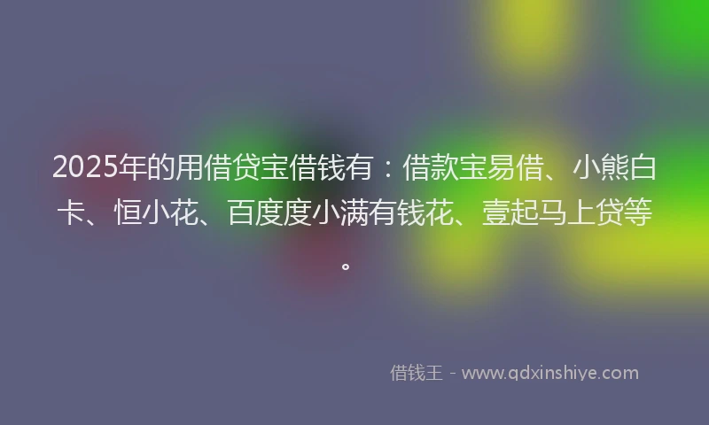 2025年的用借贷宝借钱有：借款宝易借、小熊白卡、恒小花、百度度小满有钱花、壹起马上贷等。