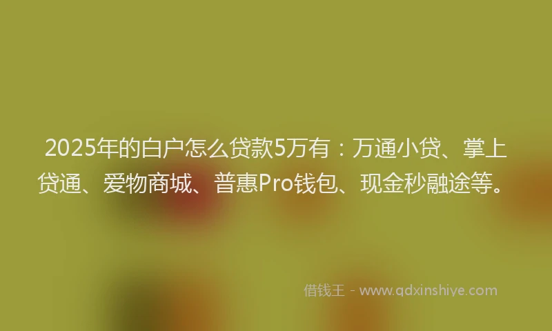 2025年的白户怎么贷款5万有：万通小贷、掌上贷通、爱物商城、普惠Pro钱包、现金秒融途等。