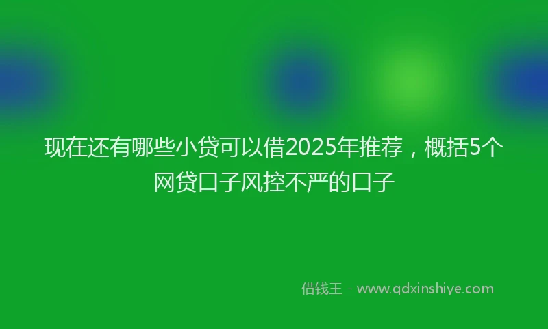 现在还有哪些小贷可以借2025年推荐，概括5个网贷口子风控不严的口子