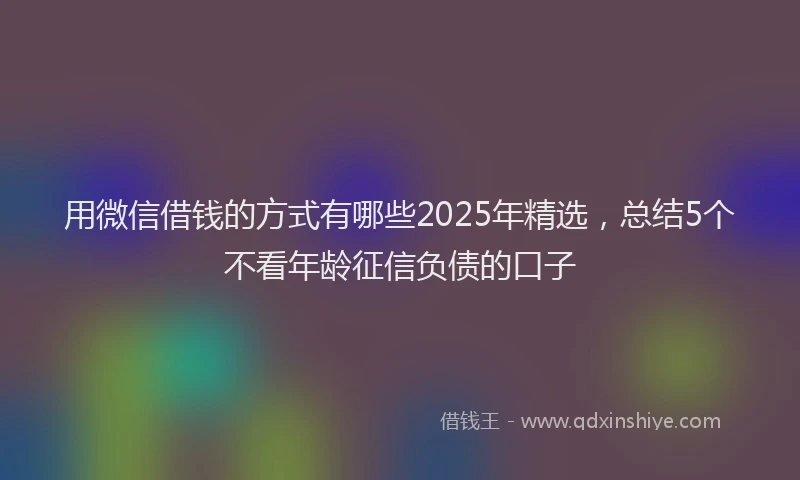 用微信借钱的方式有哪些2025年精选，总结5个不看年龄征信负债的口子