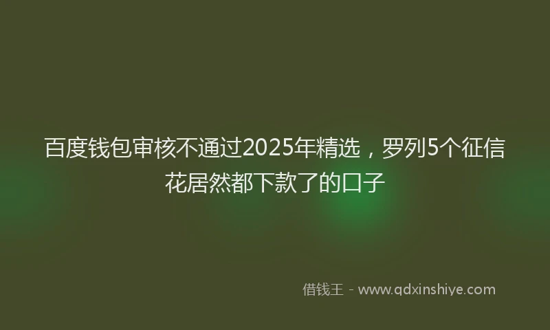 百度钱包审核不通过2025年精选，罗列5个征信花居然都下款了的口子