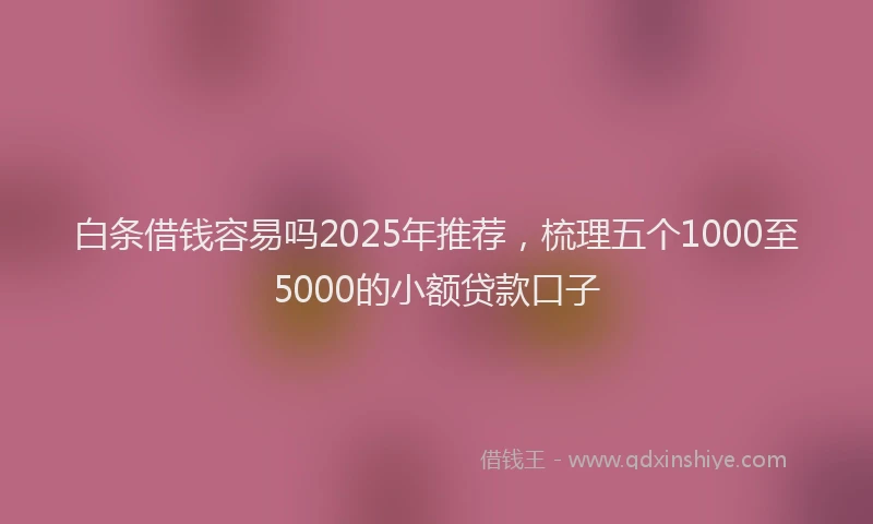 白条借钱容易吗2025年推荐，梳理五个1000至5000的小额贷款口子