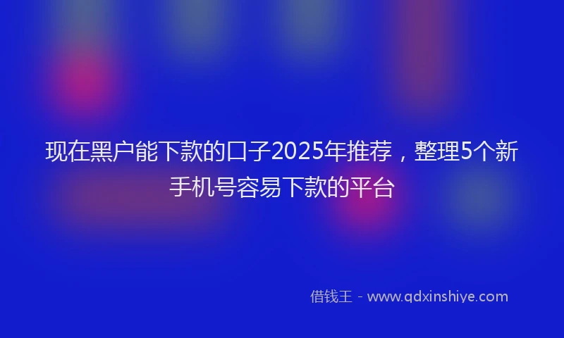 现在黑户能下款的口子2025年推荐，整理5个新手机号容易下款的平台