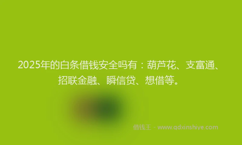 2025年的白条借钱安全吗有：葫芦花、支富通、招联金融、瞬信贷、想借等。