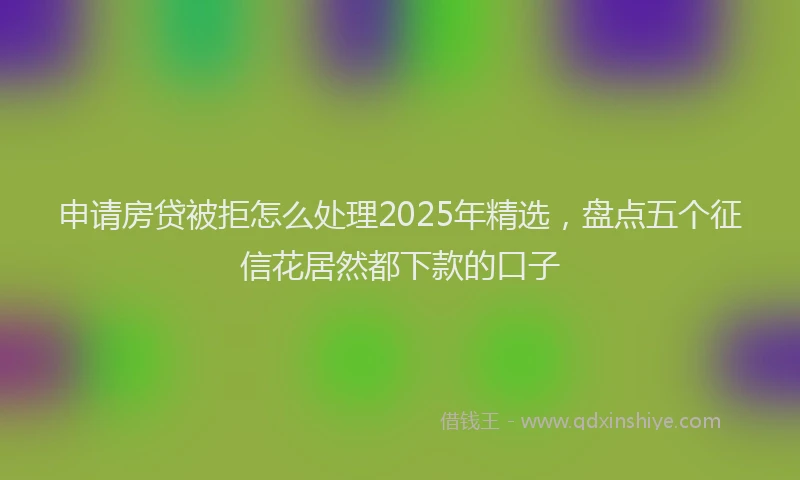 申请房贷被拒怎么处理2025年精选，盘点五个征信花居然都下款的口子
