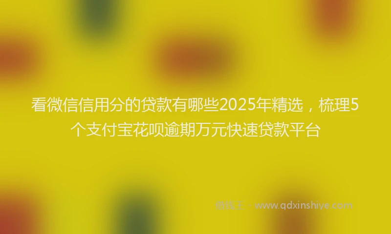 看微信信用分的贷款有哪些2025年精选，梳理5个支付宝花呗逾期万元快速贷款平台