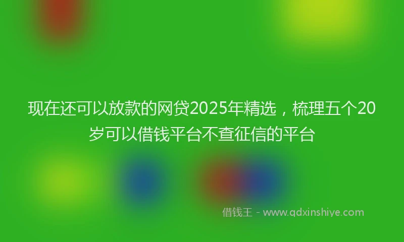 现在还可以放款的网贷2025年精选，梳理五个20岁可以借钱平台不查征信的平台