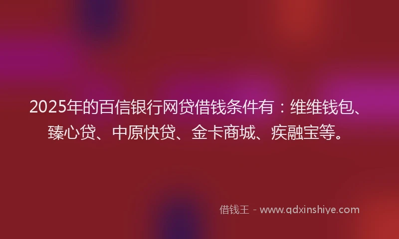 2025年的百信银行网贷借钱条件有：维维钱包、臻心贷、中原快贷、金卡商城、疾融宝等。