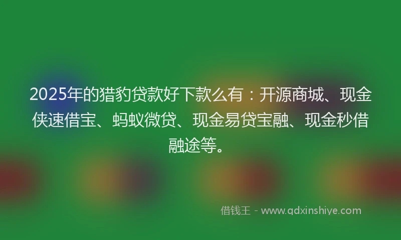 2025年的猎豹贷款好下款么有：开源商城、现金侠速借宝、蚂蚁微贷、现金易贷宝融、现金秒借融途等。