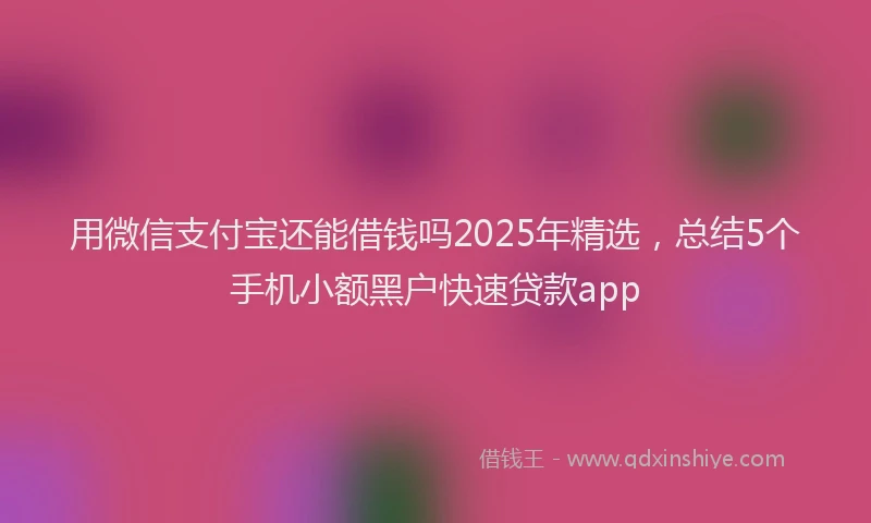 用微信支付宝还能借钱吗2025年精选，总结5个手机小额黑户快速贷款app