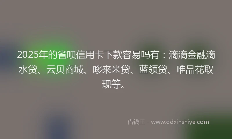 2025年的省呗信用卡下款容易吗有：滴滴金融滴水贷、云贝商城、哆来米贷、蓝领贷、唯品花取现等。