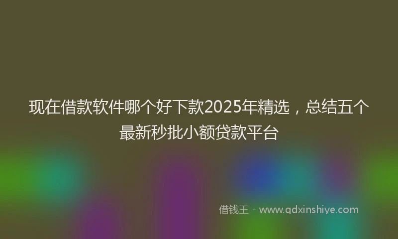 现在借款软件哪个好下款2025年精选，总结五个最新秒批小额贷款平台