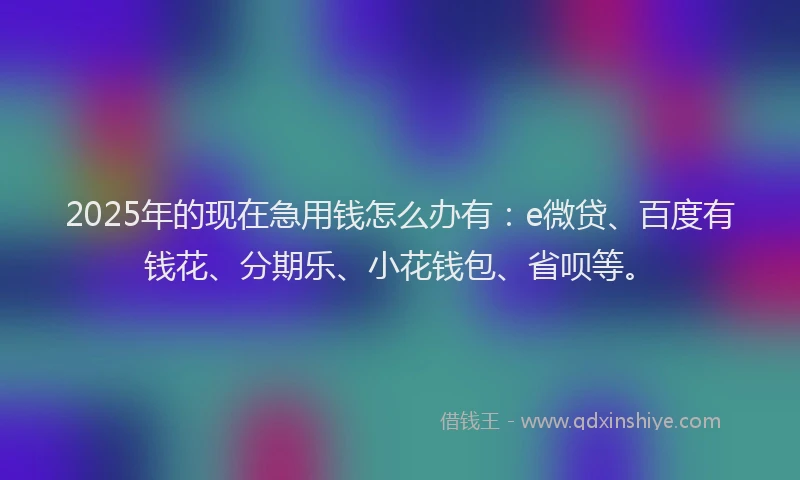2025年的现在急用钱怎么办有：e微贷、百度有钱花、分期乐、小花钱包、省呗等。