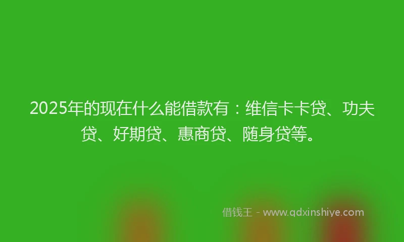 2025年的现在什么能借款有：维信卡卡贷、功夫贷、好期贷、惠商贷、随身贷等。