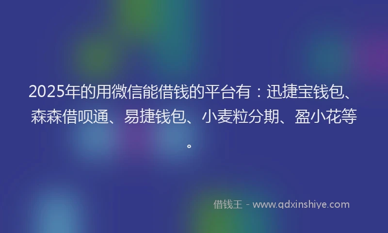 2025年的用微信能借钱的平台有：迅捷宝钱包、森森借呗通、易捷钱包、小麦粒分期、盈小花等。