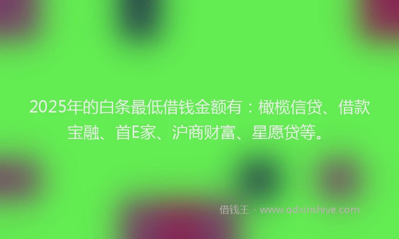 2025年的白条最低借钱金额有：橄榄信贷、借款宝融、首E家、沪商财富、星愿贷等。