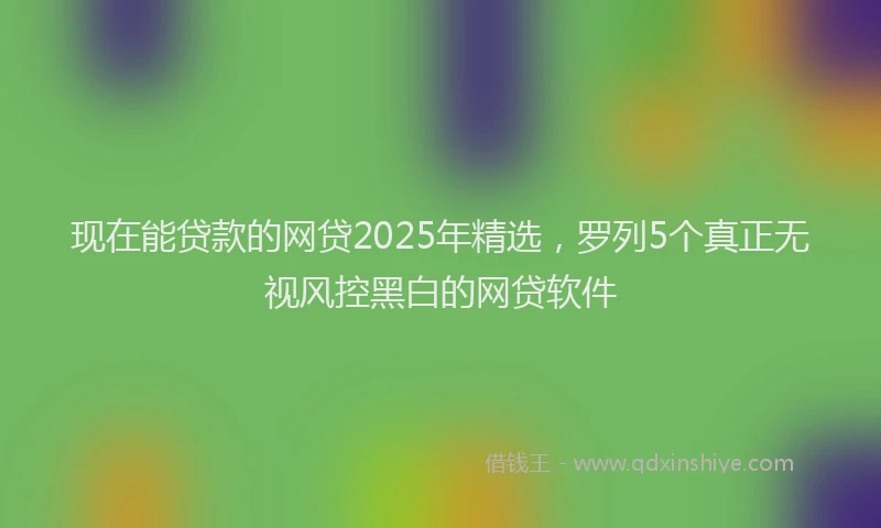 现在能贷款的网贷2025年精选，罗列5个真正无视风控黑白的网贷软件