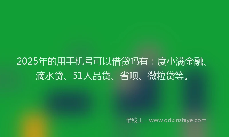 2025年的用手机号可以借贷吗有：度小满金融、滴水贷、51人品贷、省呗、微粒贷等。