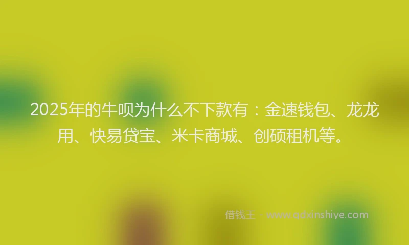 2025年的牛呗为什么不下款有：金速钱包、龙龙用、快易贷宝、米卡商城、创硕租机等。