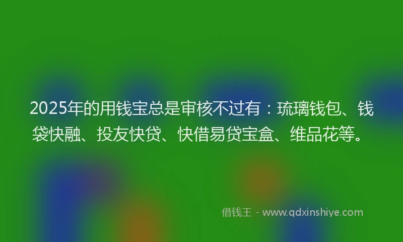 2025年的用钱宝总是审核不过有：琉璃钱包、钱袋快融、投友快贷、快借易贷宝盒、维品花等。