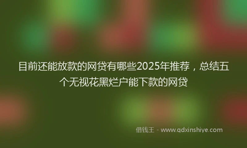目前还能放款的网贷有哪些2025年推荐，总结五个无视花黑烂户能下款的网贷