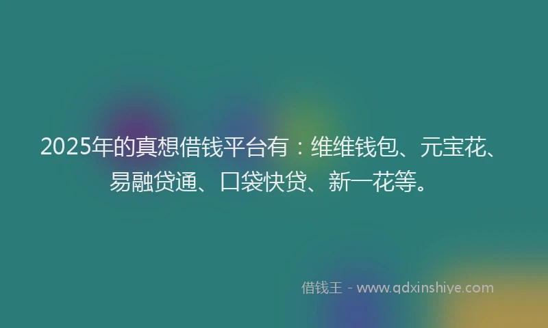 2025年的真想借钱平台有:维维钱包、元宝花、易融贷通、口袋快贷、新一花等。