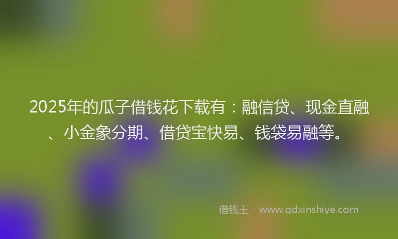 2025年的瓜子借钱花下载有：融信贷、现金直融、小金象分期、借贷宝快易、钱袋易融等。
