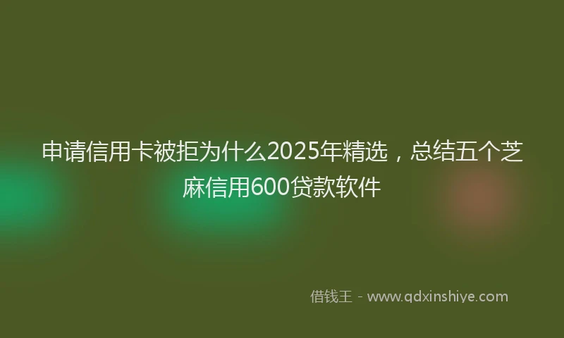 申请信用卡被拒为什么2025年精选，总结五个芝麻信用600贷款软件