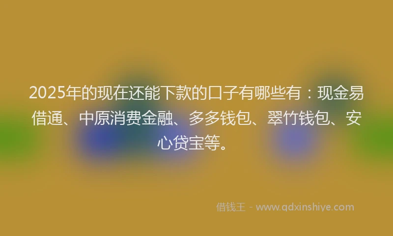 2025年的现在还能下款的口子有哪些有：现金易借通、中原消费金融、多多钱包、翠竹钱包、安心贷宝等。