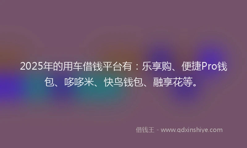 2025年的用车借钱平台有：乐享购、便捷Pro钱包、哆哆米、快鸟钱包、融享花等。