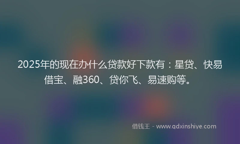 2025年的现在办什么贷款好下款有：星贷、快易借宝、融360、贷你飞、易速购等。