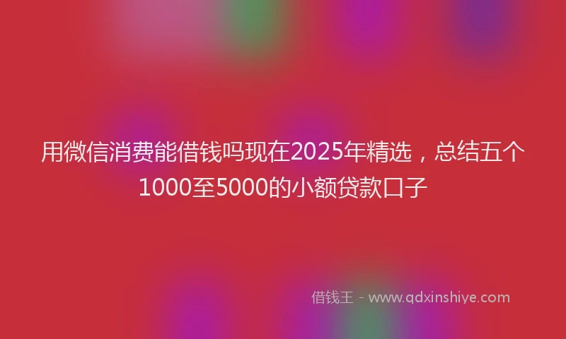 用微信消费能借钱吗现在2025年精选，总结五个1000至5000的小额贷款口子
