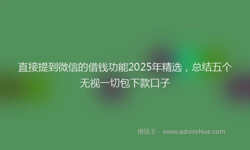 直接提到微信的借钱功能2025年精选，总结五个无视一切包下款口子