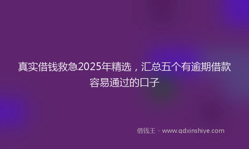真实借钱救急2025年精选，汇总五个有逾期借款容易通过的口子