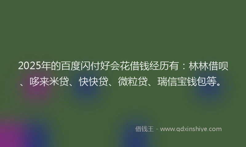 2025年的百度闪付好会花借钱经历有：林林借呗、哆来米贷、快快贷、微粒贷、瑞信宝钱包等。