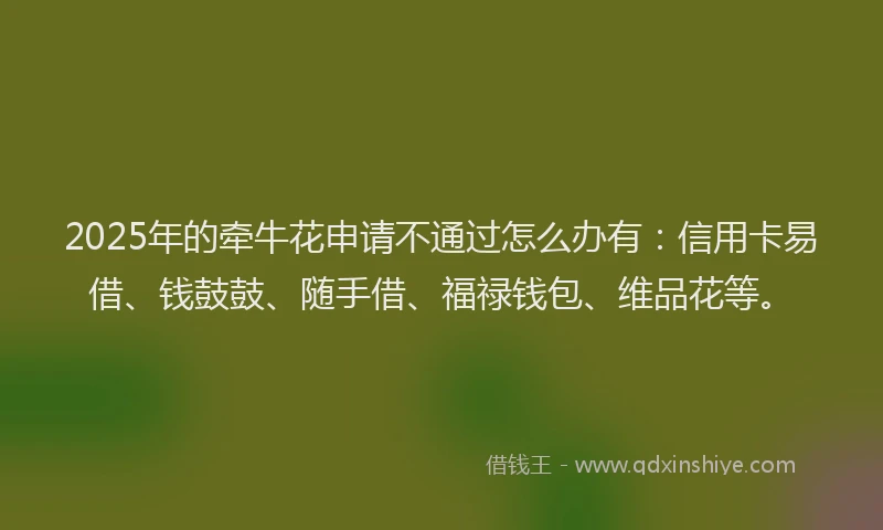 2025年的牵牛花申请不通过怎么办有：信用卡易借、钱鼓鼓、随手借、福禄钱包、维品花等。