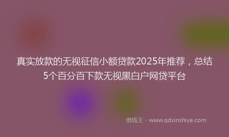 真实放款的无视征信小额贷款2025年推荐，总结5个百分百下款无视黑白户网贷平台
