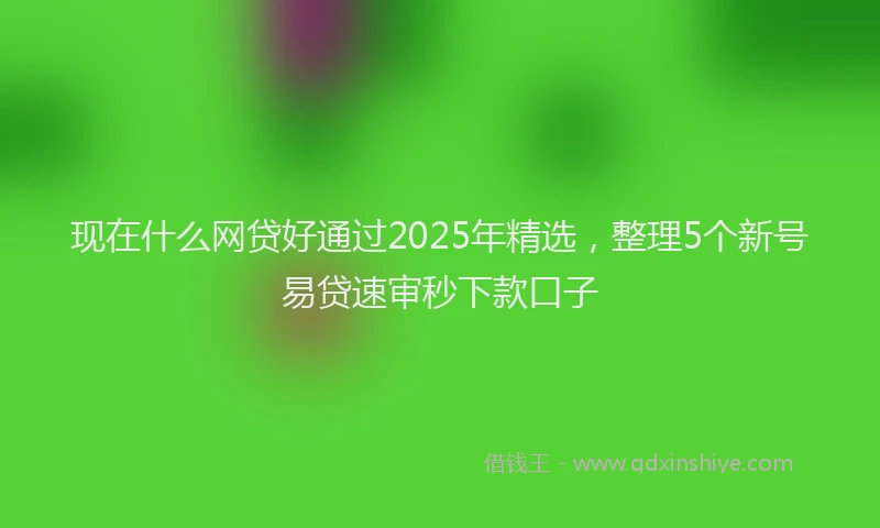 现在什么网贷好通过2025年精选，整理5个新号易贷速审秒下款口子